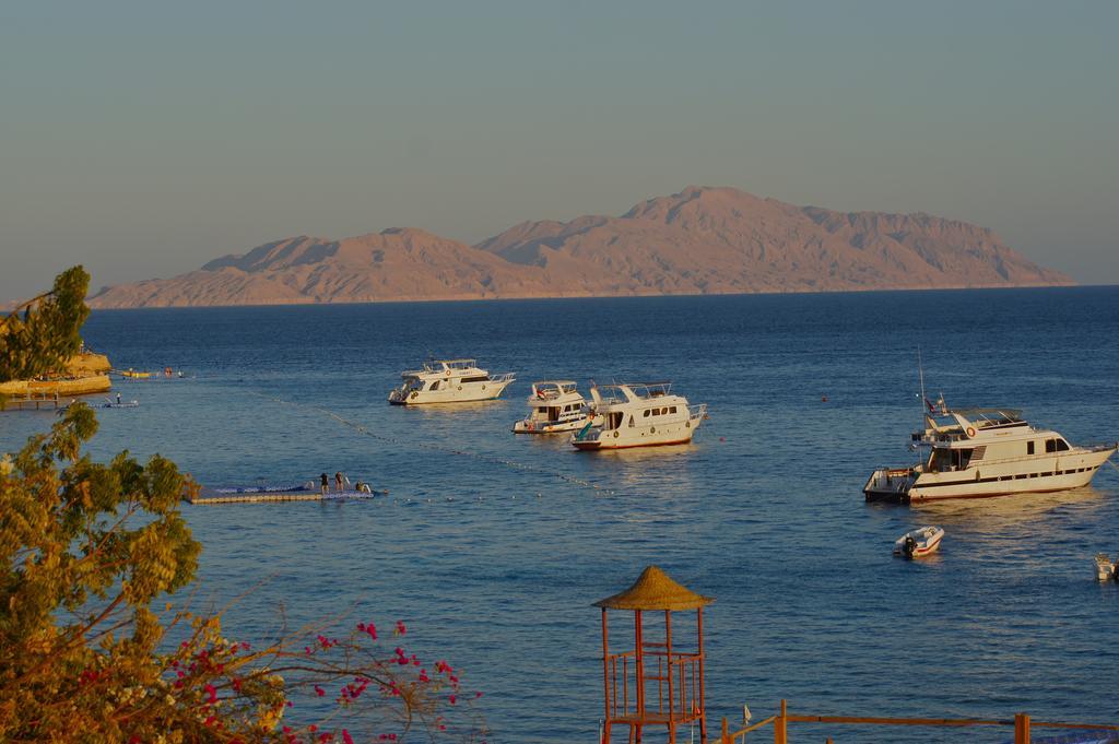 Umbi Sharks Bay Diving Village Sharm el-Sheikh Bagian luar foto