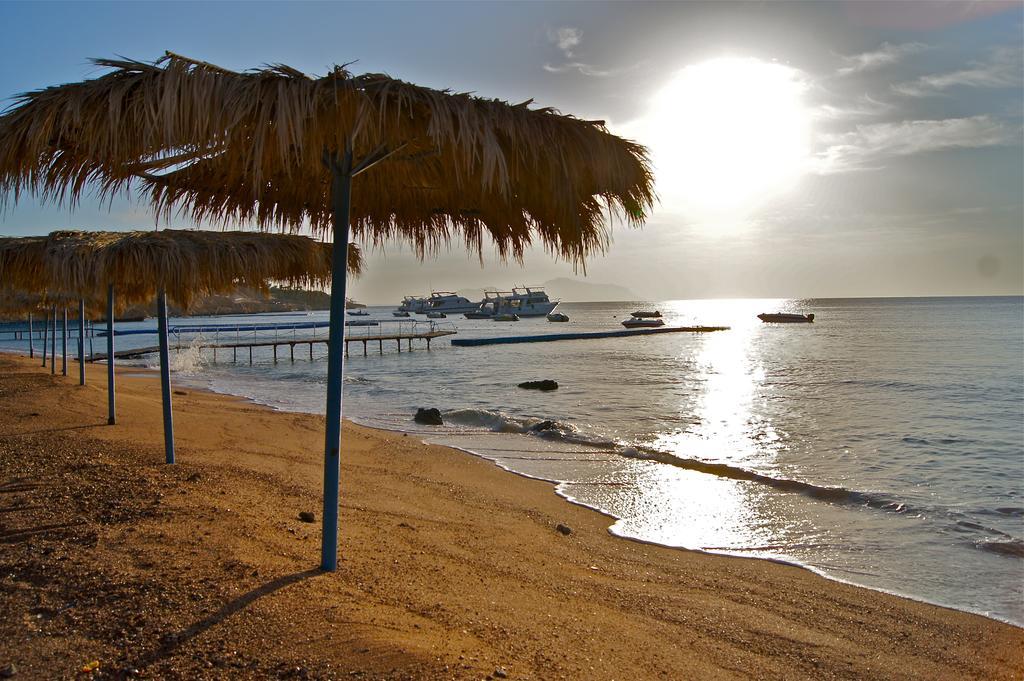Umbi Sharks Bay Diving Village Sharm el-Sheikh Bagian luar foto